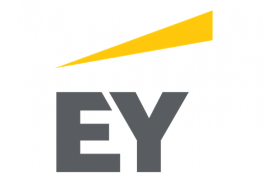 EY Romania: o strategie de recrutare pentru oameni asumati. Interviu cu Andreea Mihnea, HR Director