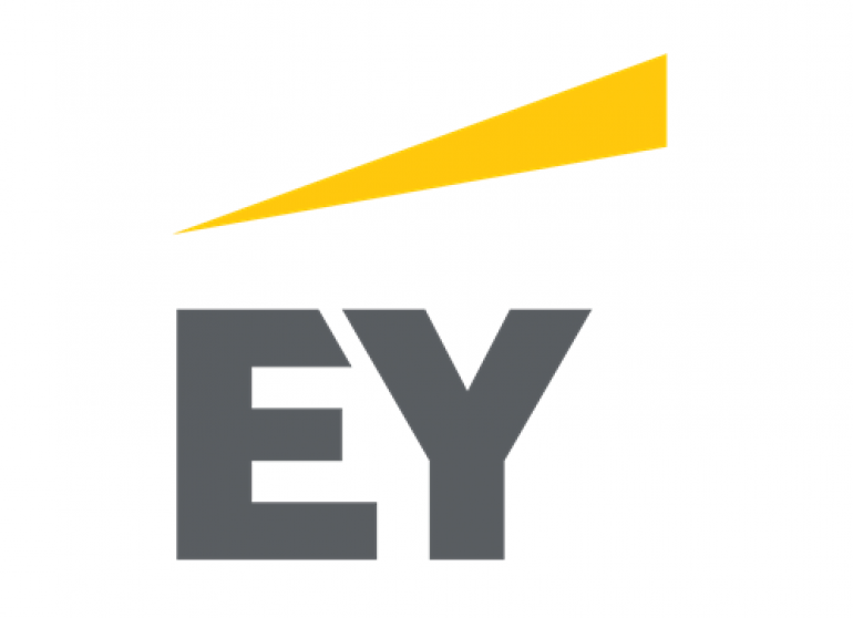 EY Romania: o strategie de recrutare pentru oameni asumati. Interviu cu Andreea Mihnea, HR Director