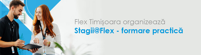 stagii at flex